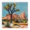 Stupell Industries Modern Joshua Tree in Desert Canvas By Walker Noble